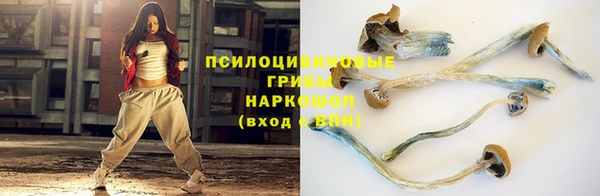 apvp Михайлов