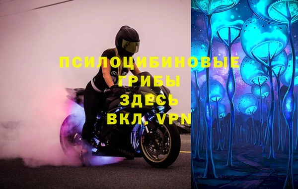apvp Михайлов